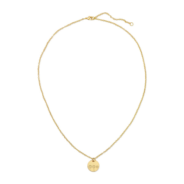 Botanical Necklace | Daisy