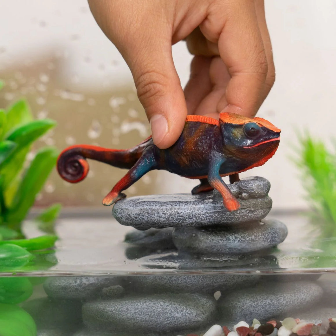 Toy | Chameleon
