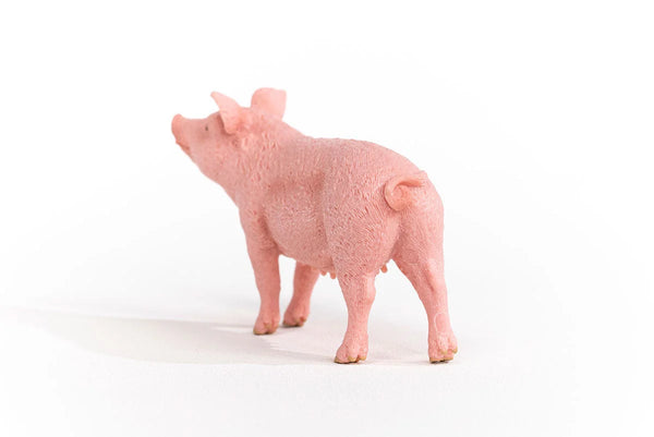 Toy | Pig