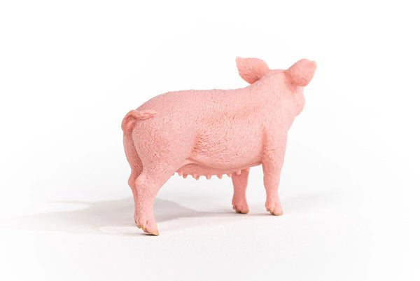 Toy | Pig
