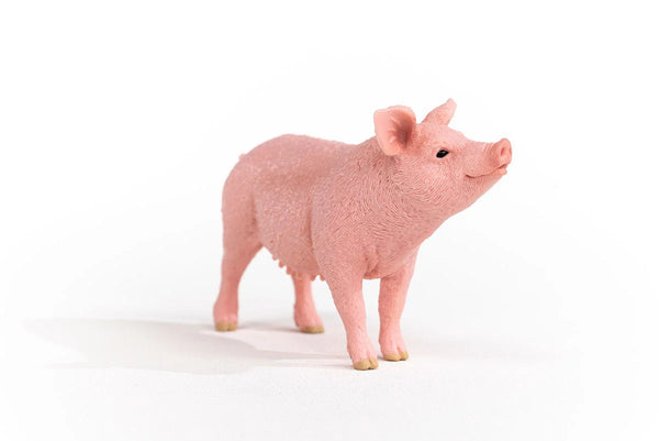 Toy | Pig