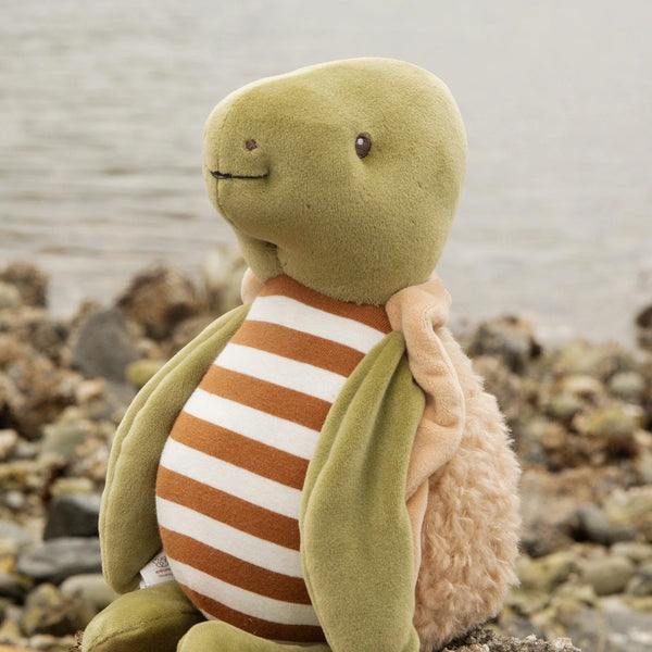 Plush | Turtle Sheldon