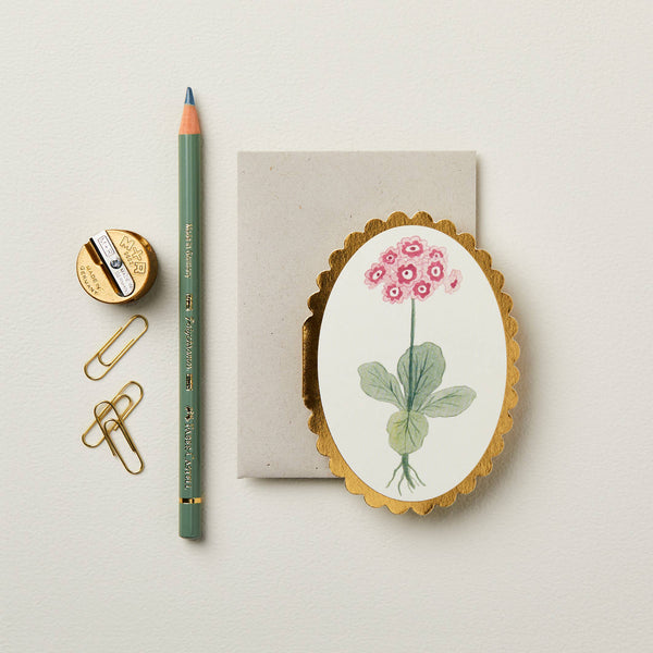 Auricula Mini Card