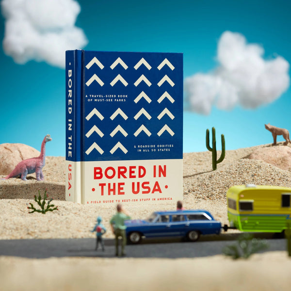 Book | Bored in the USA