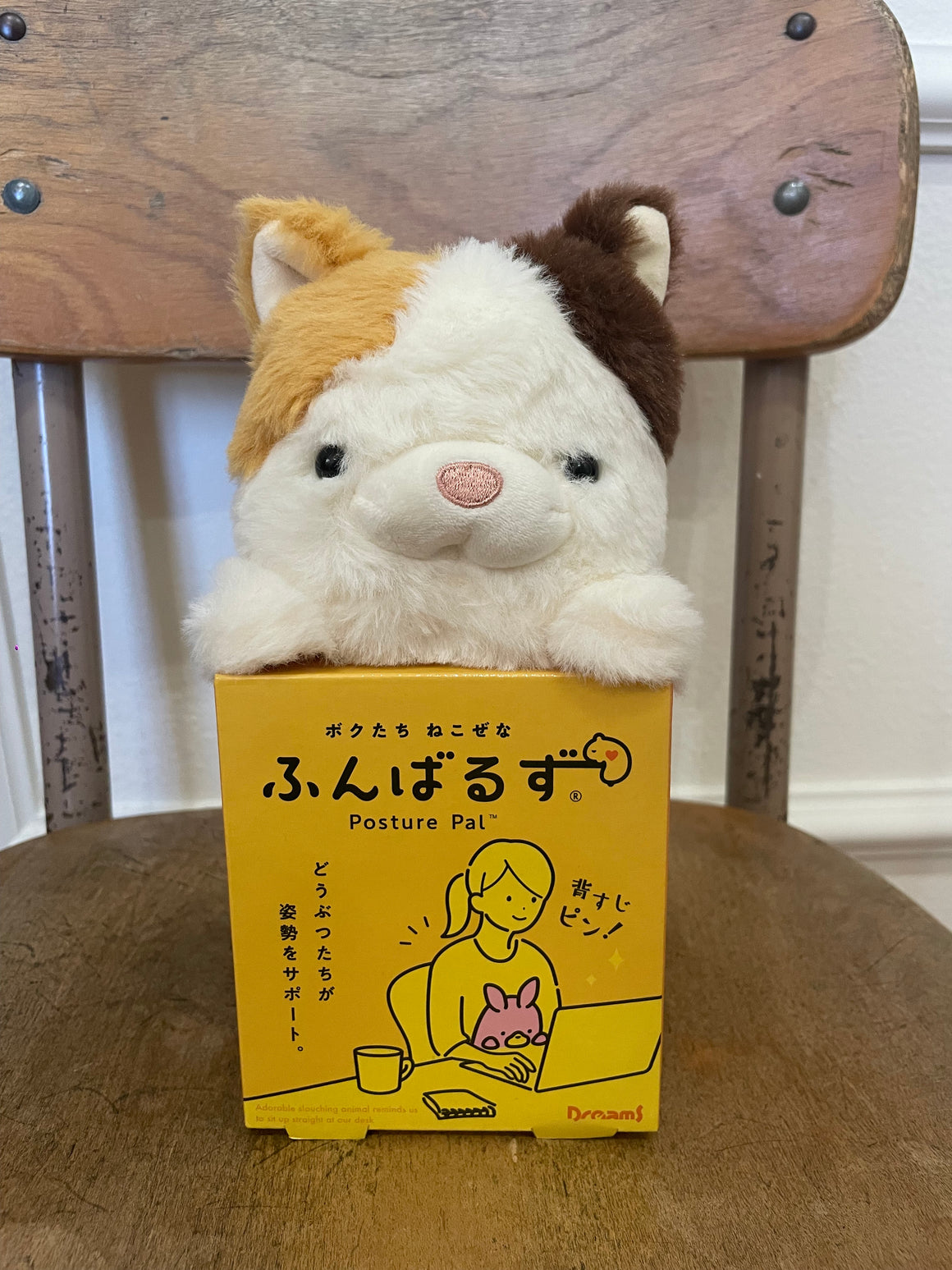 Posture Pal | Calico Cat