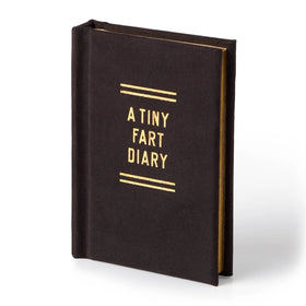 Journal | A Fart Diary