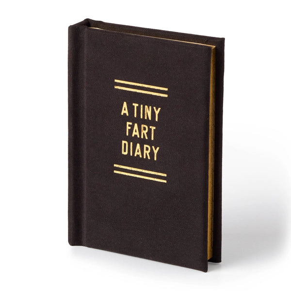 Journal | A Fart Diary