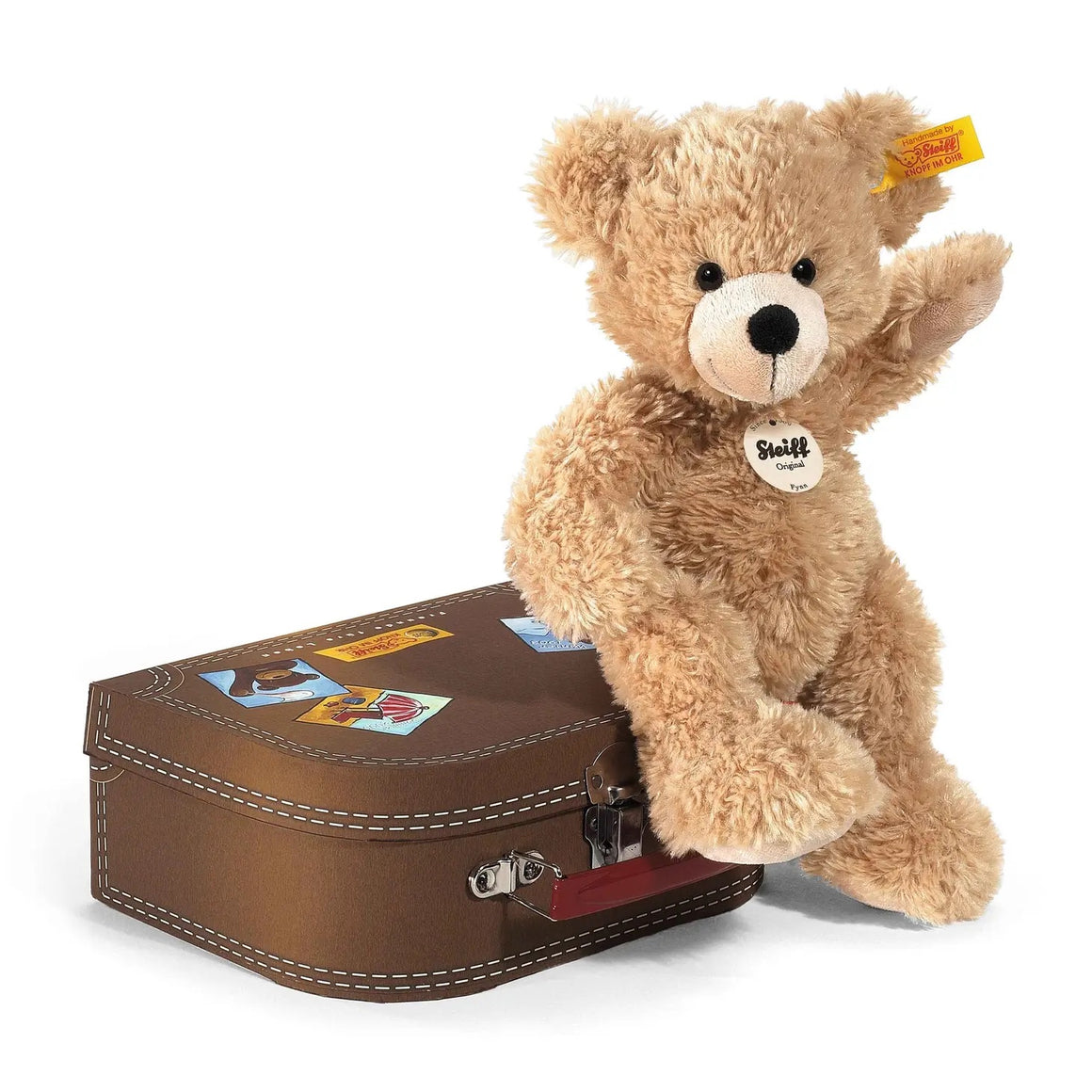 Teddy Bear In Suitcase | Fynn