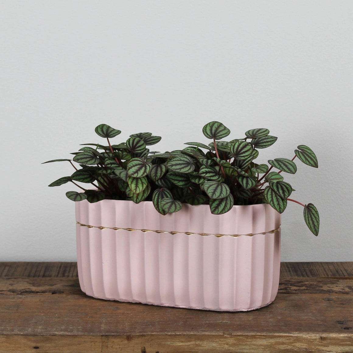 Oval Vase | Skylar Blush