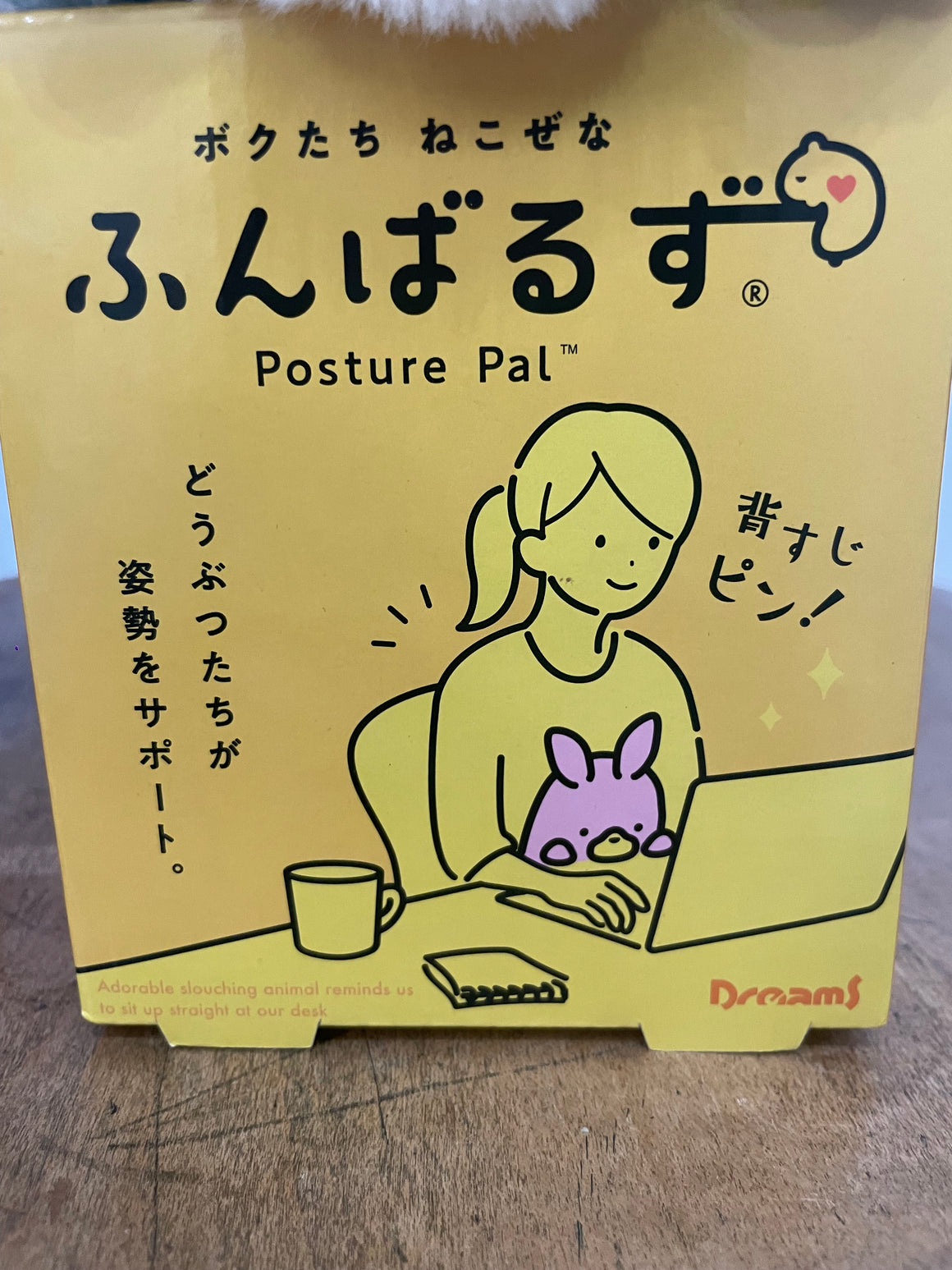 Posture Pal | Yeti
