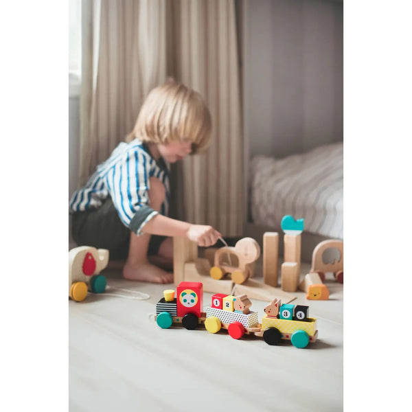 Wooden Pull Along Friends