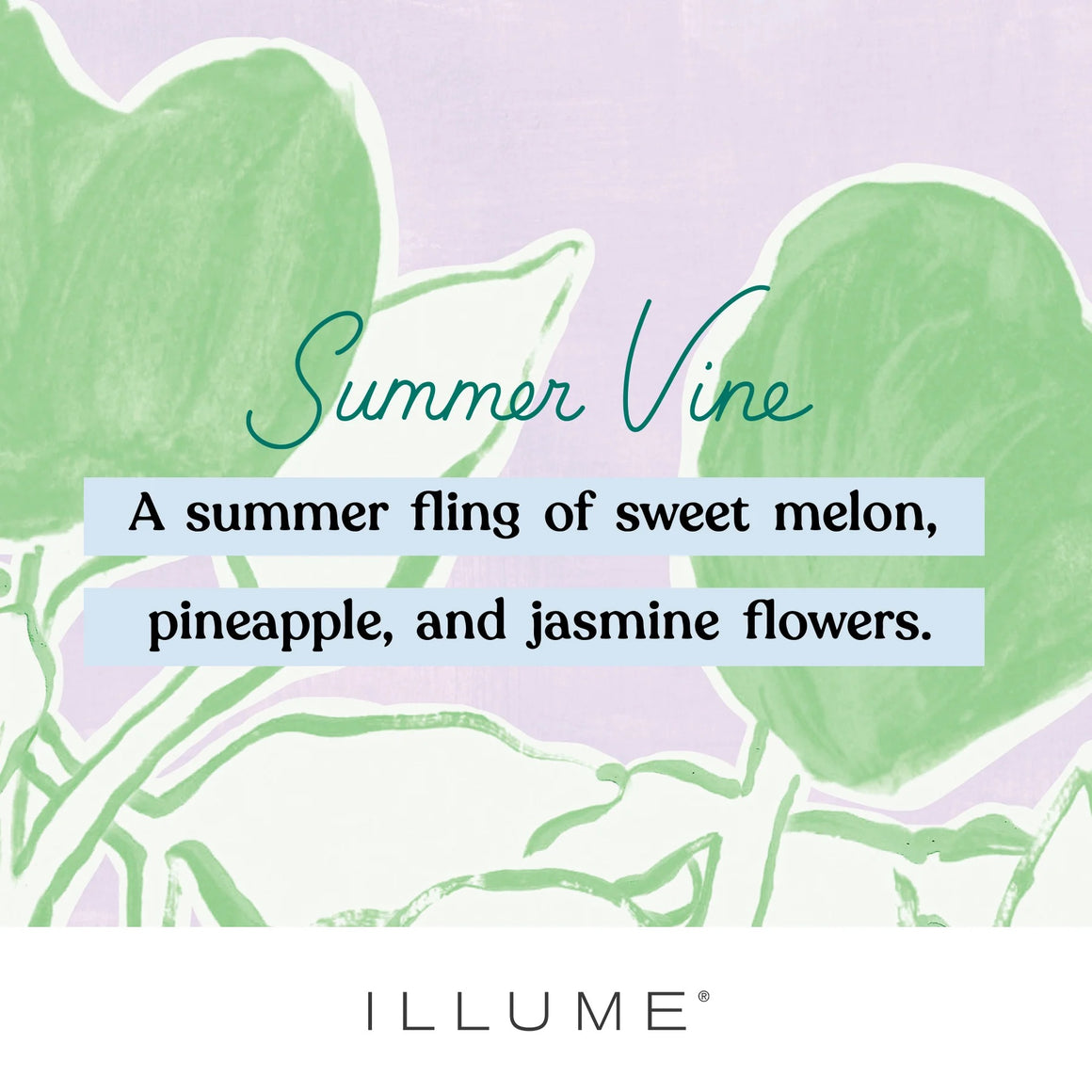 Bath Soak | Summer Vine