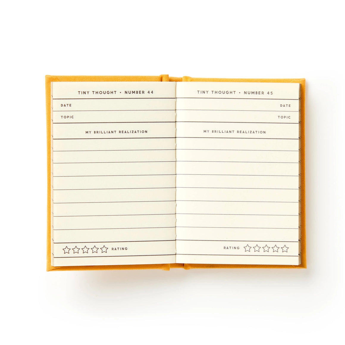 Journal | A Tiny Diary