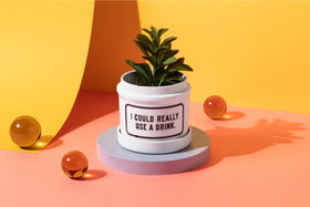 Planter | Need A Drink