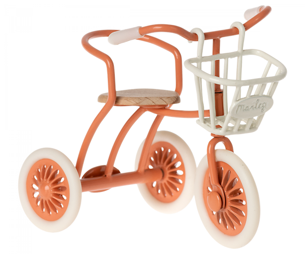 Tricycle Basket