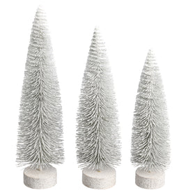 Christmas Tree | White Oval Pine