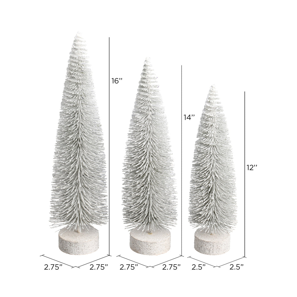 Christmas Tree | White Oval Pine