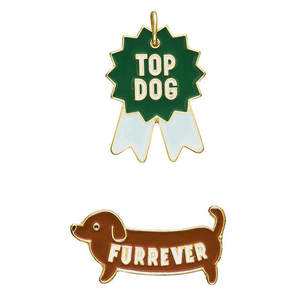 Pin + Tag Set Dog