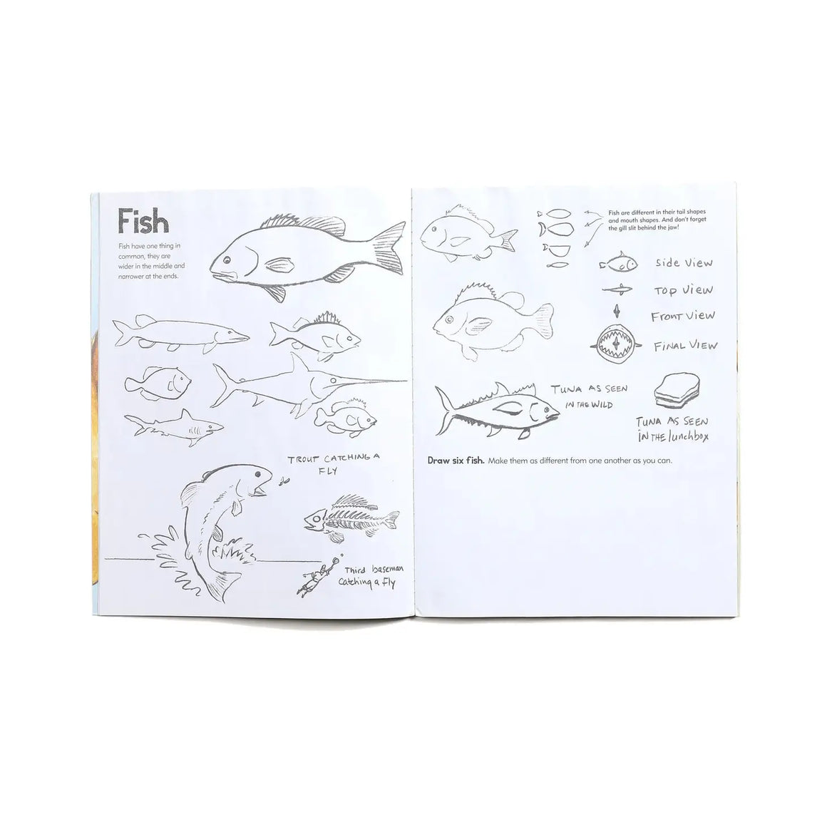 Art Book | Learn To Draw