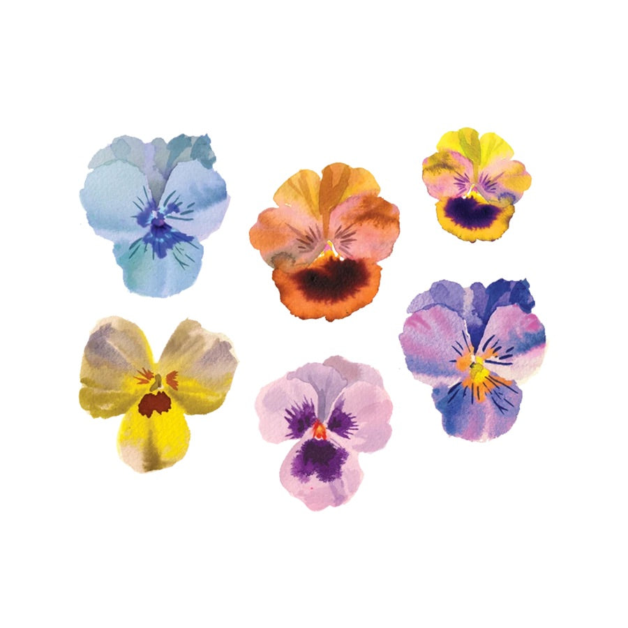 Tattoos | Pansy Flower | Set Of 2