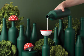 Magic Mushroom Funnel
